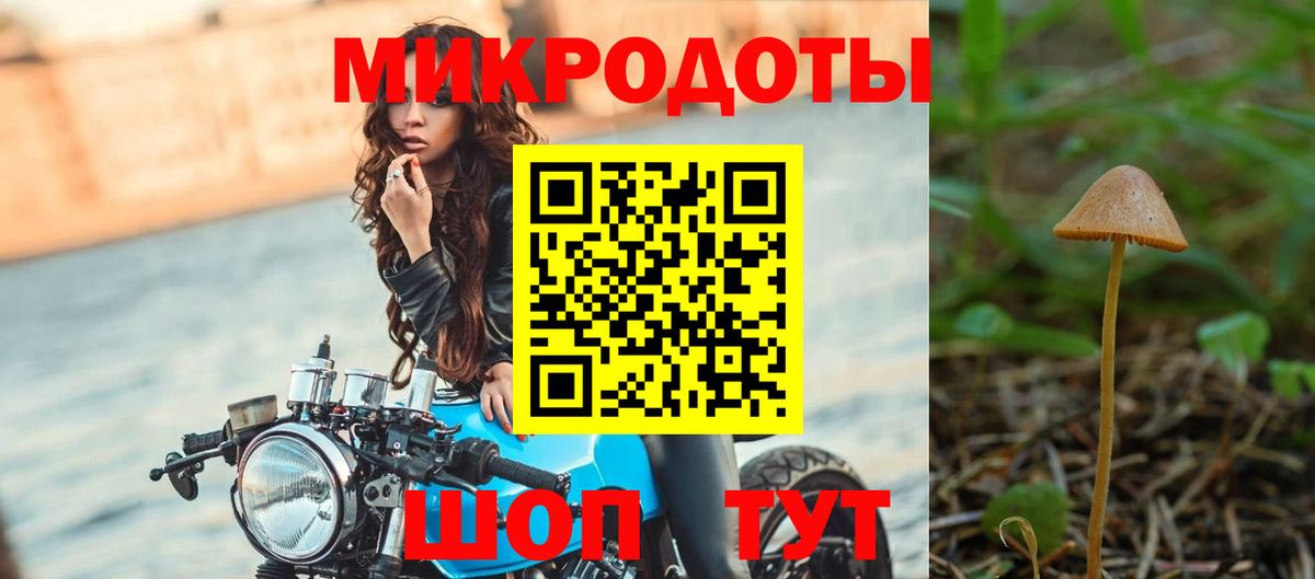 Галлюциногенные грибы MAGIC MUSHROOMS  Галлюциногенные грибы ЛСД  Вход с VPN  Новороссийск 